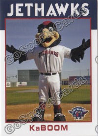 2011 Lancaster JetHawks Kaboom Mascot