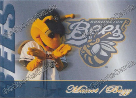 2013 Burlington Bees Buzz