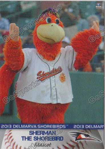 2013 Delmarva Shorebirds Sherman the Shorebird