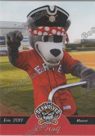 2013 Erie SeaWolves C Wolf