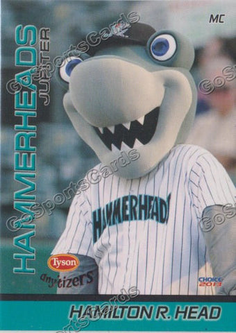 2013 Jupiter Hammerheads Hamilton R Head