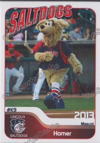 2013 Lincoln Saltdogs Homer