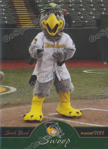 2013 South Bend Silverhawks Swoop