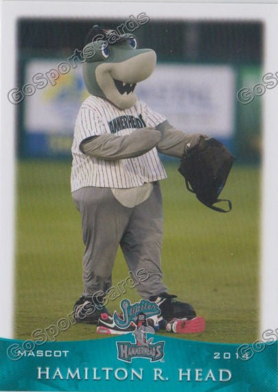 2014 Jupiter Hammerheads Hamilton R Head Mascot