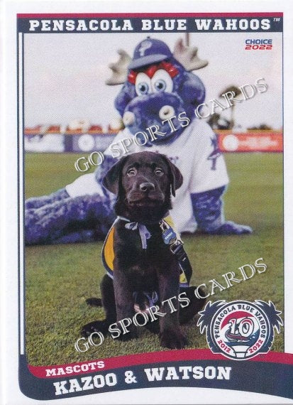 2022 Pensacola Blue Wahoos Kazoo Watson Mascot