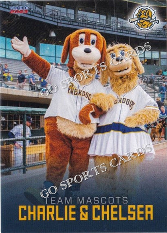 2023 Charleston RiverDogs Charlie Chelsea Mascot