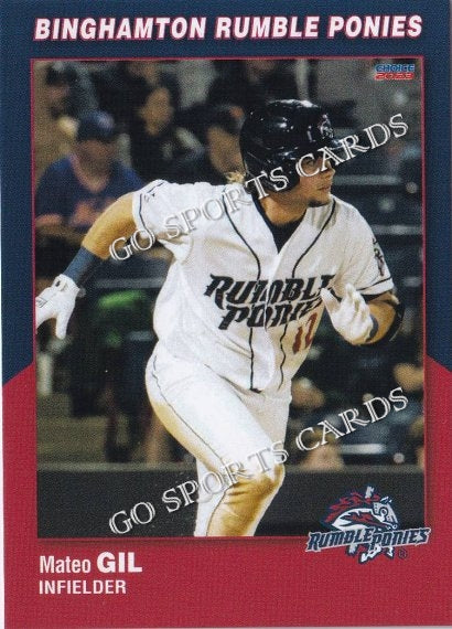 2023 Binghamton Rumble Ponies Mateo Gil