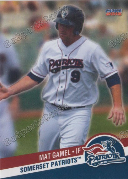 2015 Somerset Patriots Mat Gamel