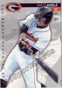 2008 Delmarva Shorebirds Matt Angle