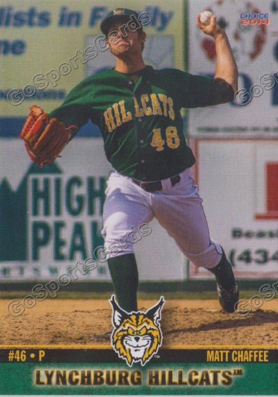 2014 Lynchburg HillCats Matt Chaffee