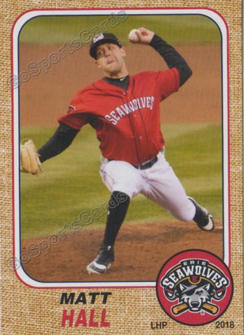 2018 Erie SeaWolves Matt Hall