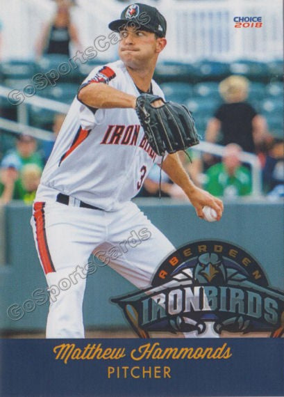 2018 Aberdeen Ironbirds Matthew Hammonds