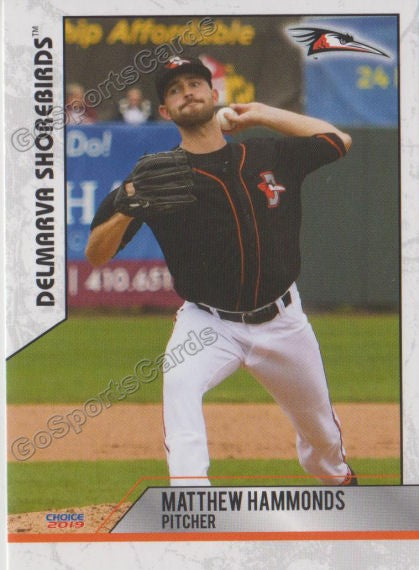 2019 Delmarva Shorebirds Matthew Hammonds