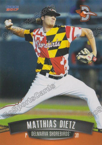 2017 Delmarva Shorebirds Matthias Dietz