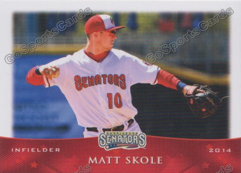 2014 Harrisburg Senators Matt Skole