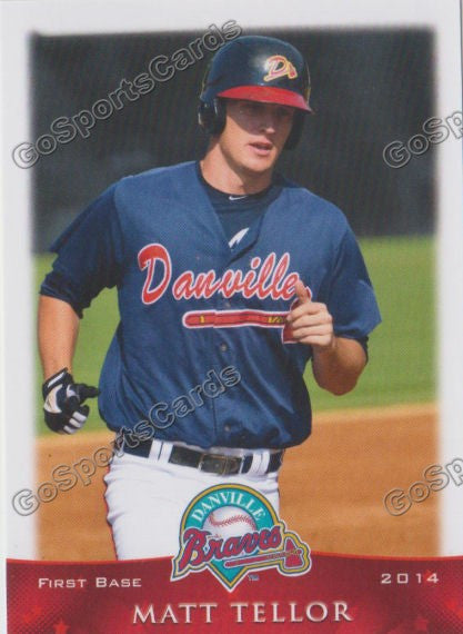 2014 Danville Braves Matt Tellor