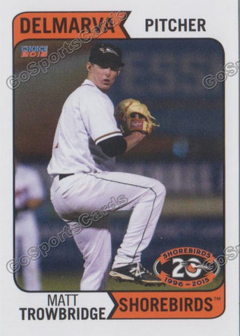 2015 Delmarva Shorebirds Matt Trowbridge