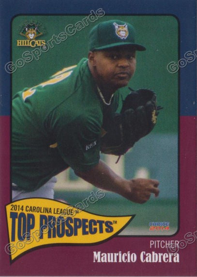2014 Carolina League Top Prospect Mauricio Cabrera