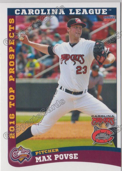 2016 Carolina League Top Prospect Max Povse