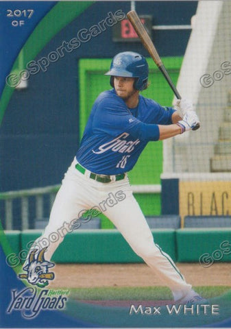 2017 Hartford Yard Goats Max White