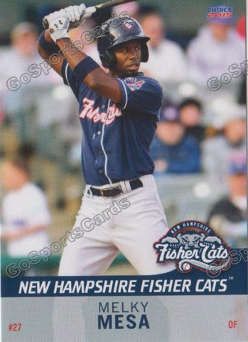 2015 New Hampshire Fishercats Melky Mesa