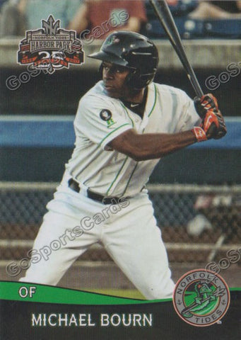 2017 Norfolk Tides Michael Bourn