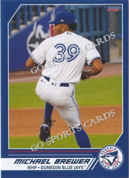 2023 Dunedin Blue Jays Michael Brewer