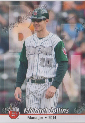2014 Fort Wayne TinCaps Michael Collins