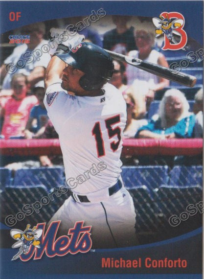 2015 Binghamton Mets Team Set