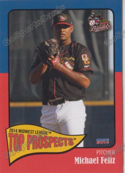 2014 MidWest League Top Prospect Michael Feliz