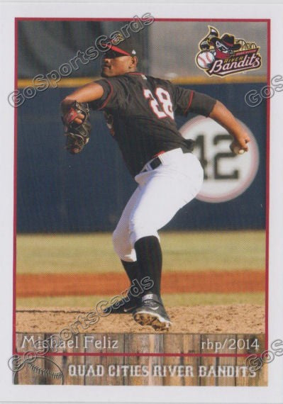 2014 Quad Cities River Bandits Michael Feliz