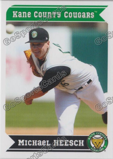 2013 Kane County Cougars Michael Heesch