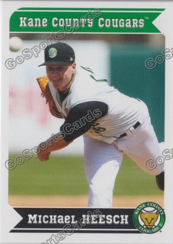 2013 Kane County Cougars Michael Heesch