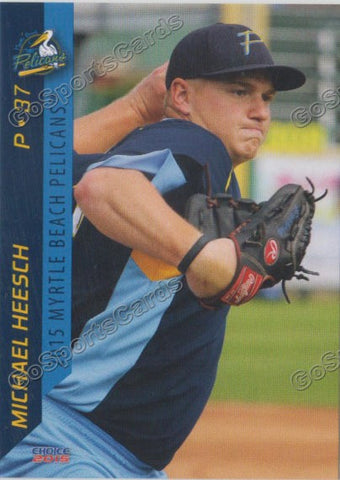 2015 Myrtle Beach Pelicans Michael Heesch