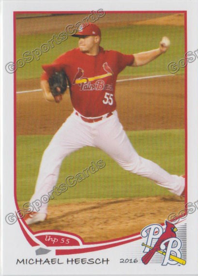 2016 Palm Beach Cardinals Michael Heesch