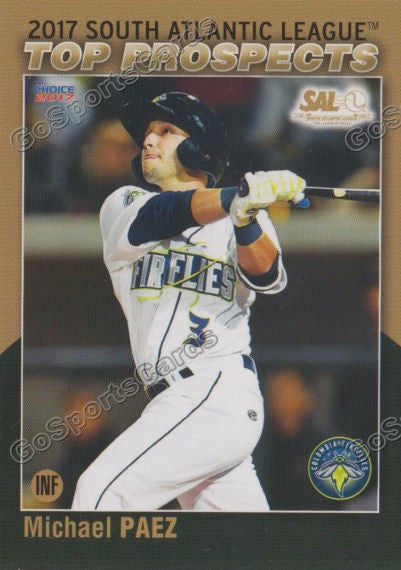 2017 South Atlantic League Top Prospects SAL Michael Paez