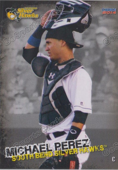 2014 South Bends Silver Hawks Michael Perez
