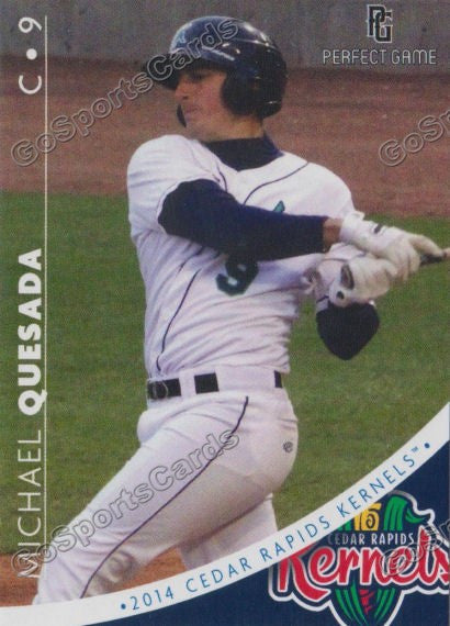 2014 Cedar Rapids Kernels Michael Quesada