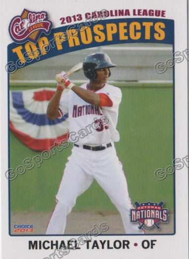 2013 Carolina League Top Prospect Michael Taylor