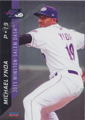 2015 Winston Salem Dash Michael Ynoa