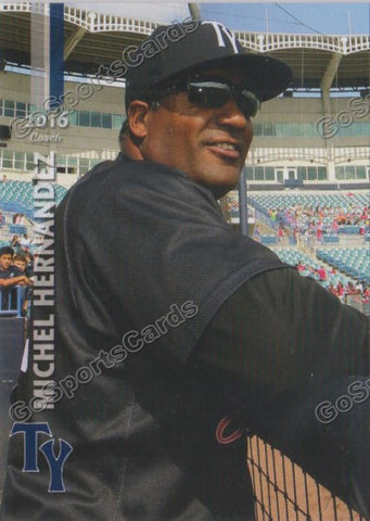 2016 Tampa Yankees Michel Hernandez
