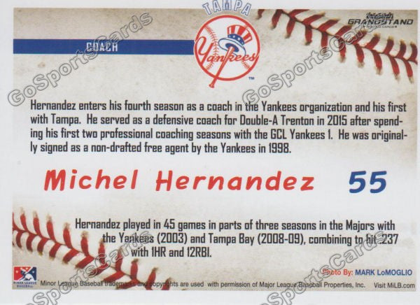 2016 Tampa Yankees Michel Hernandez Back of Card