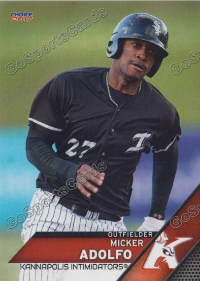 2017 Kannapolis Intimidators Micker Adolfo