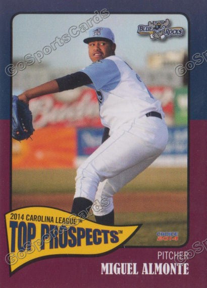2014 Carolina League Top Prospect Miguel Almonte
