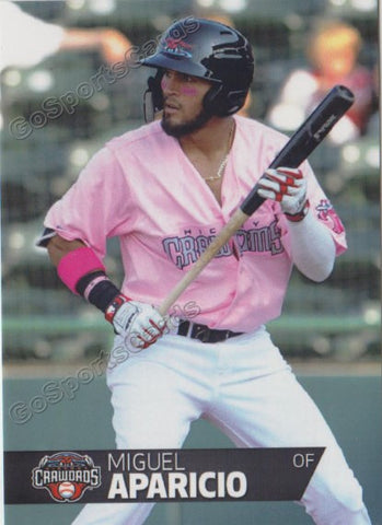 2018 Hickory Crawdads 2nd Miguel Aparicio