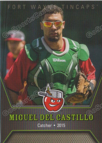 2015 Fort Wayne Tincaps Miguel Del Castillo