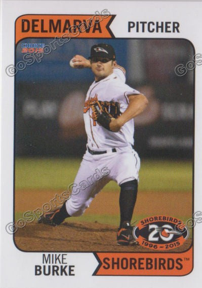 2015 Delmarva Shorebirds Mike Burke
