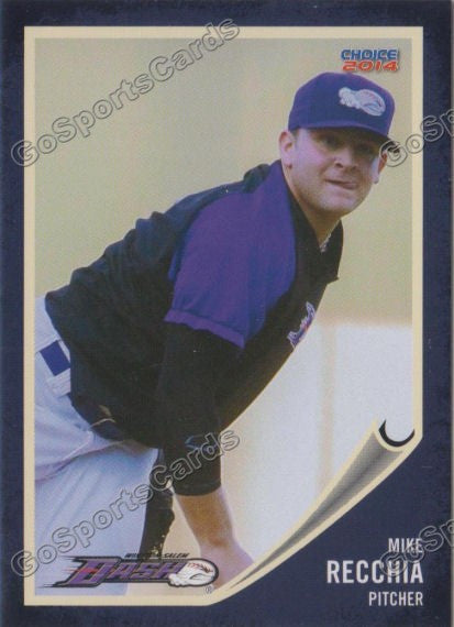 2014 Winston Salem Dash Mike Recchia