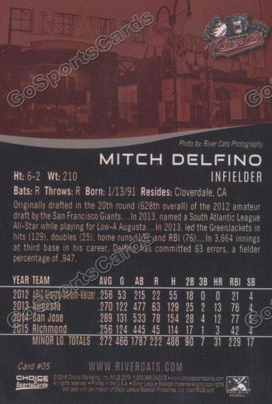 2016 Sacramento River Cats Mitch Delfino Back of Card