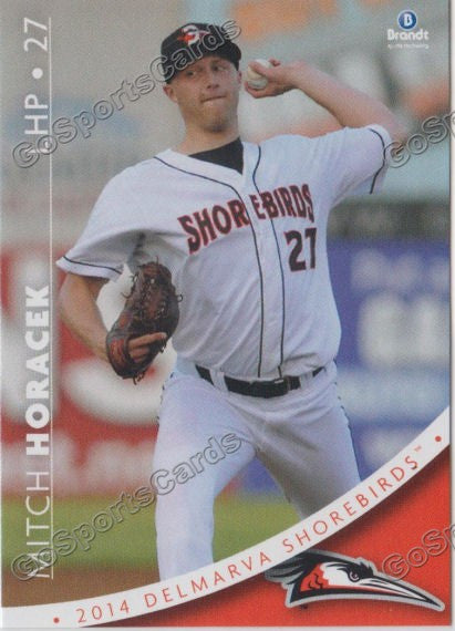 2014 Delmarva Shorebirds Mitch Horacek